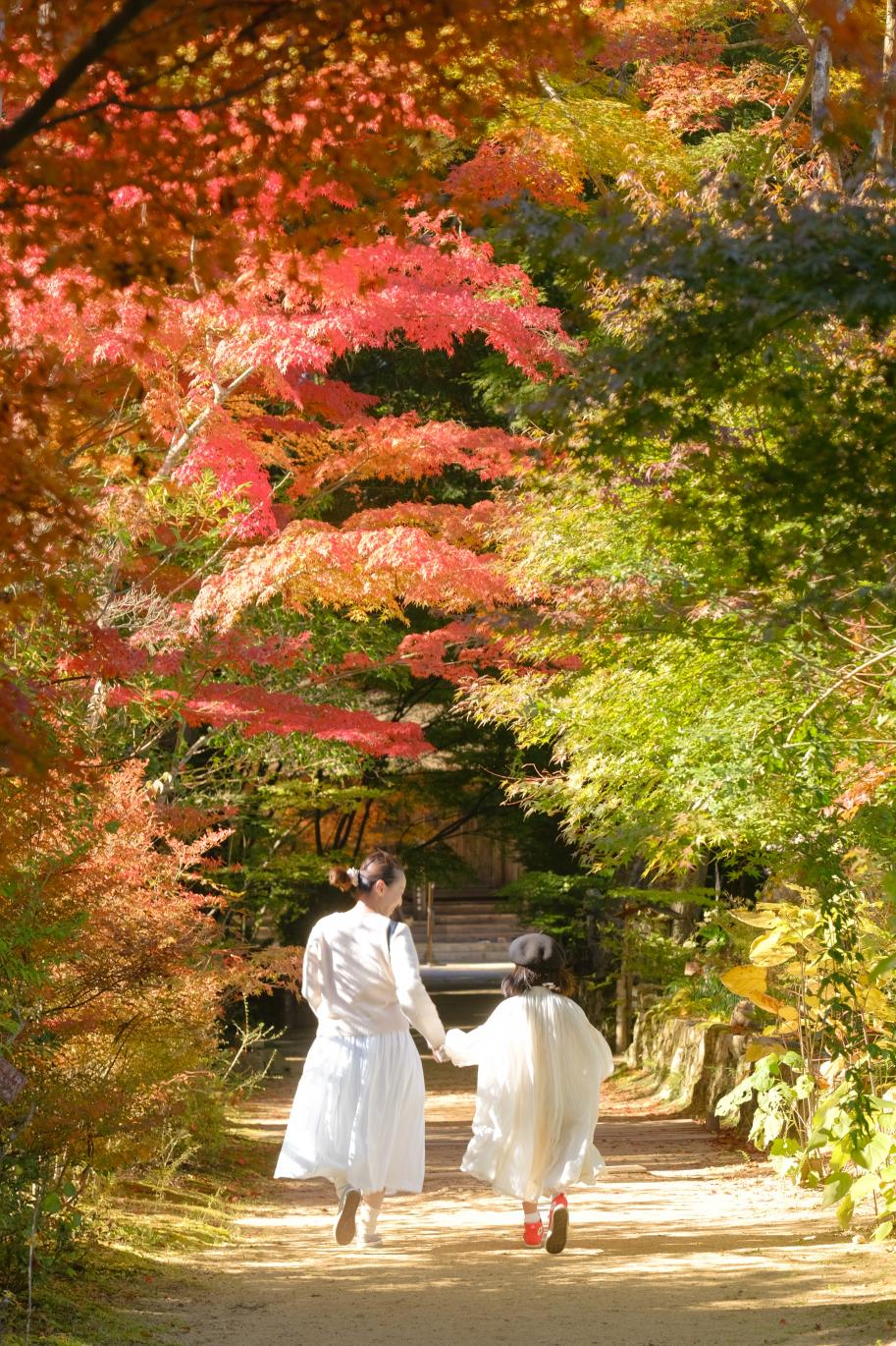 銀賞1人目は、「michiyo」さん!⇦側は赤、右側はまだ緑色のもみじのトンネルを、真っ白なリンクコーデで手をつないで駆け抜ける親子の後ろ姿を切り取った幸せな1枚です。