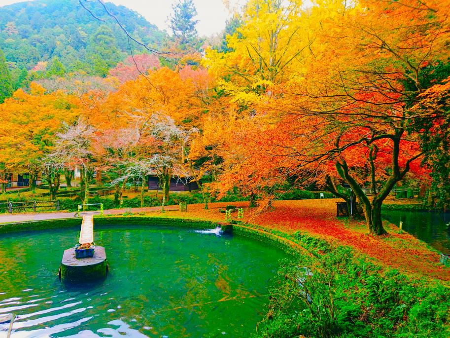 醒井養鱒場1