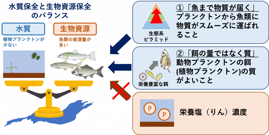 概要図