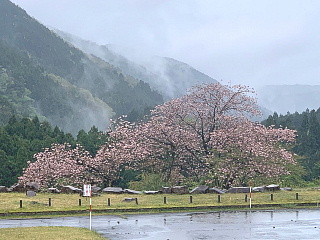 4月27日の石田川ダムです。