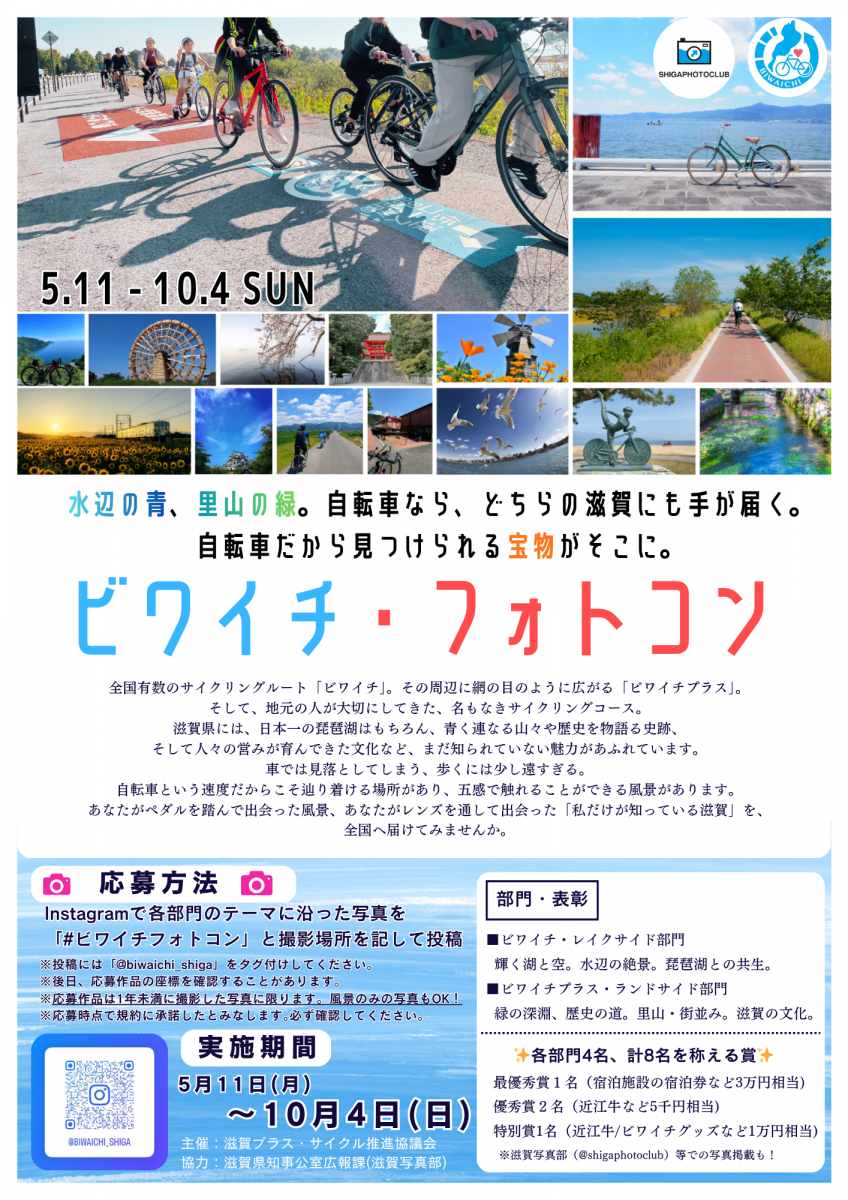 チラシ画像です