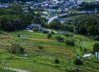 小泉