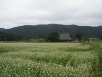 池原