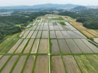 今郷