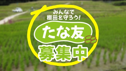 募集中(外部サイト)