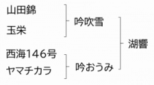 湖響の系統図