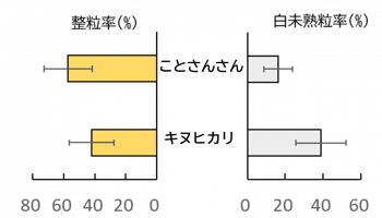 ことさんさんとキヌヒカリの整粒率と白未熟粒率の比較