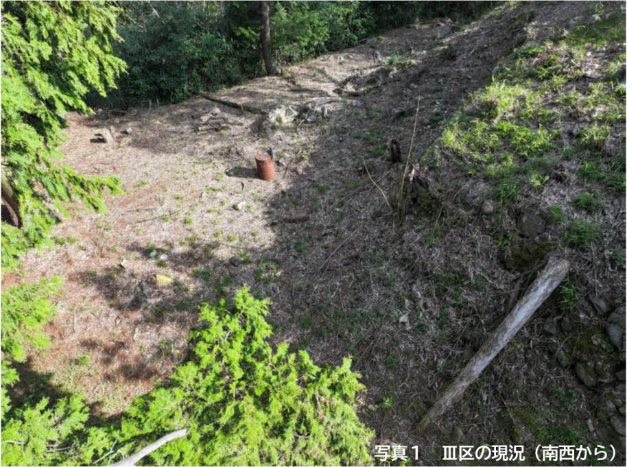 3区の状況(南西から)