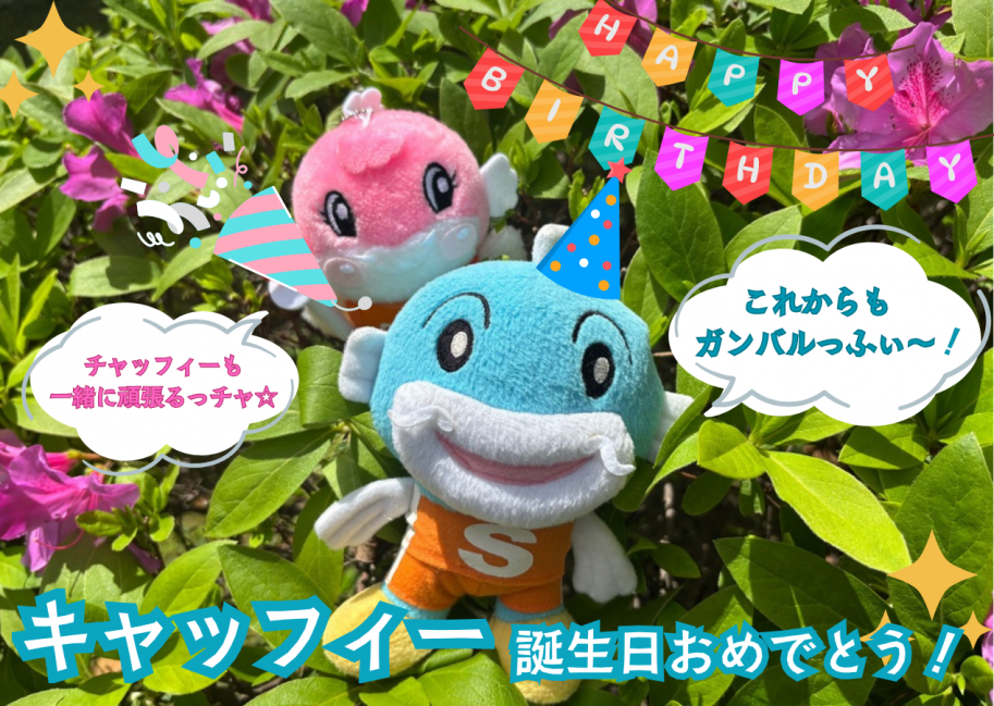 キャッフィー誕生日おめでとう!