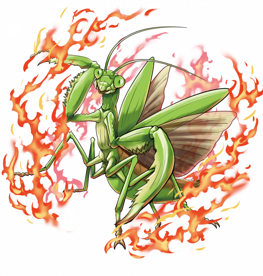カマキリのカード