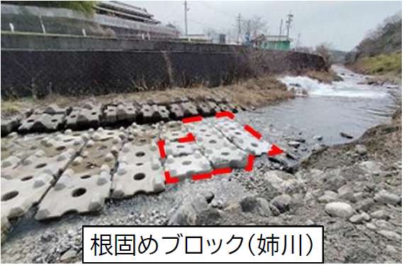 姉川