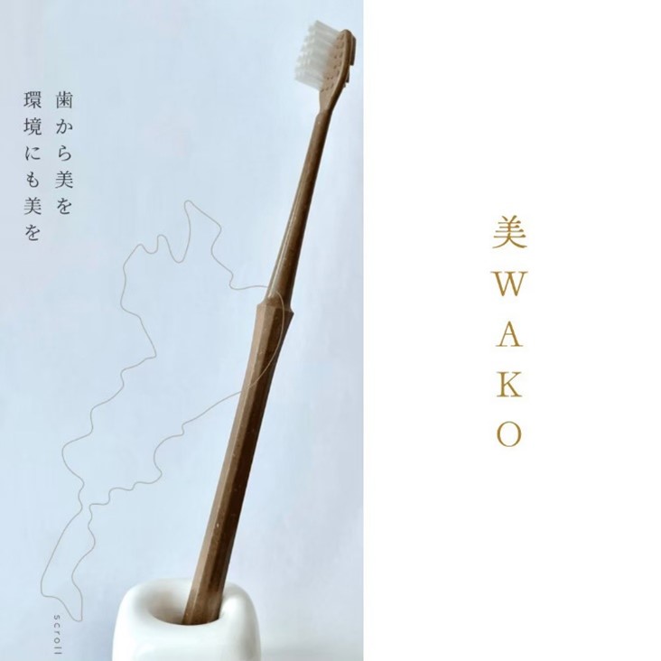 製品写真