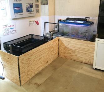 さかな学習館展示コーナーの写真
