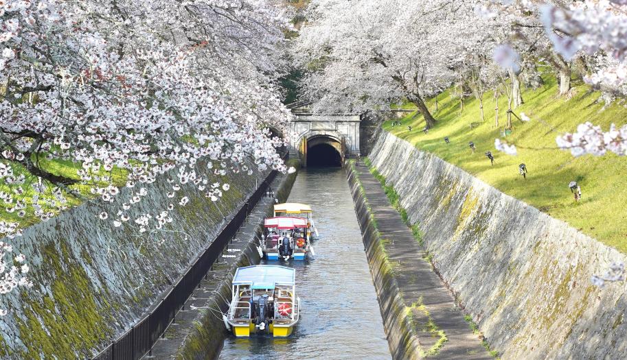 琵琶湖疏水施設 大津運河および第一隧道と桜の写真