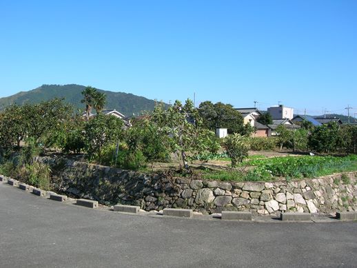 kimurajo