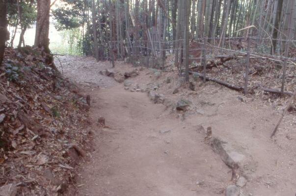 搦手道山裾部