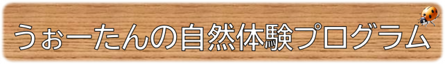 うぉーたんの自然体験プログラム