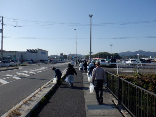 びわ活の様子3