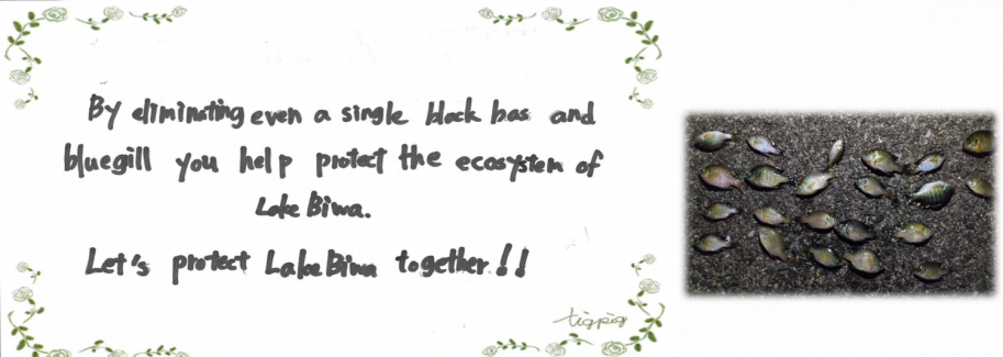 びわこルールキッズへのメッセージ(団体の部)「By eliminating even a single black bass and bluegill you help protect the ecosystem of Lake Biwa.Let’s protect Lake Biwa together!!(ブラックバスやブルーギルを一匹でも駆除することで、琵琶湖の生態系を守ることにつながります。一緒に琵琶湖を守りましょう!)