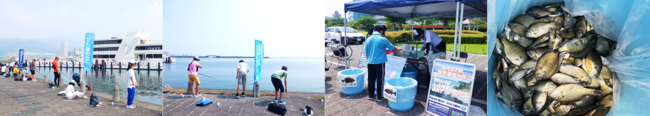 釣り大会の様子