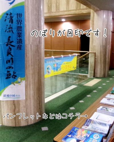 のぼりが目印です!パンフレットなどはコチラ→