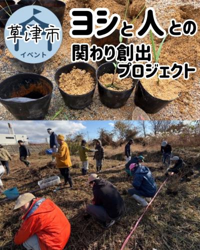ヨシと人との関わり創出プロジェクト