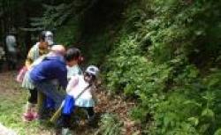 川観察の写真