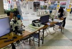 移動博物館の様子が写っている写真