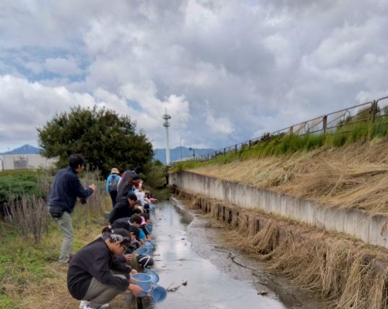 放流