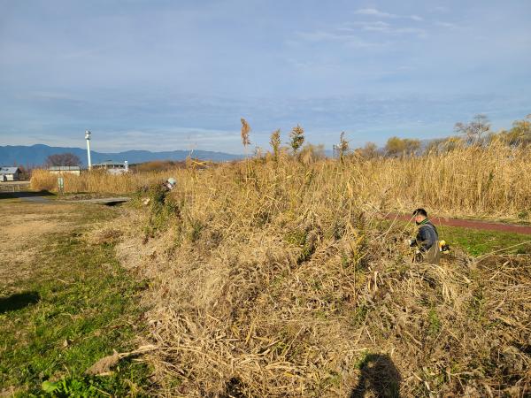 ひょうたん池の浚渫前