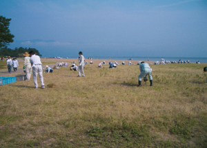 琵琶湖にて清掃活動をしている画像です。