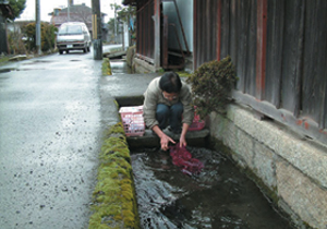 女性が家の前の川で洗濯をしている画像です。