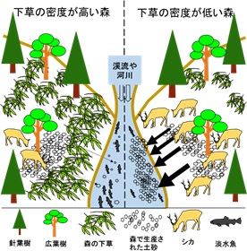 図2イメージ図