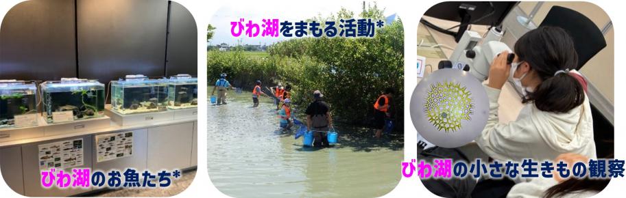びわ湖のお魚たち、びわ湖をまもる活動、びわ湖の小さな生きもの観察