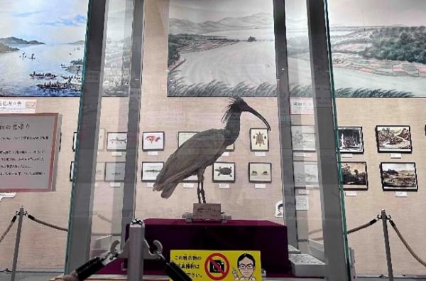 展示の様子2