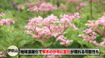 気候変動でどうなる-滋賀での私たちの暮らし- (4) 自然生態系編 - YouTube