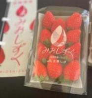 みおしずく