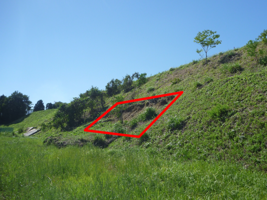応急処置