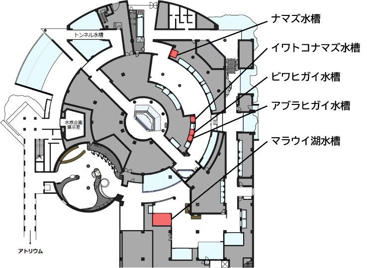 展示水槽の図