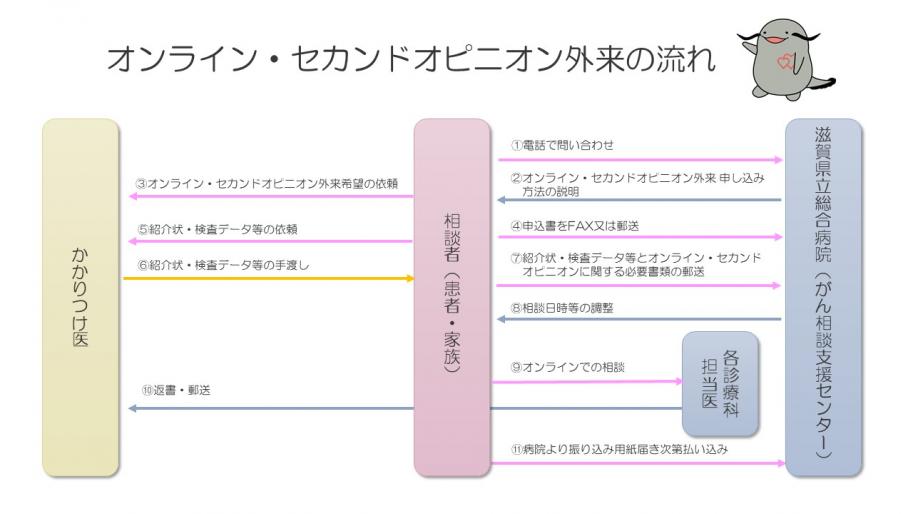 オンライン・セカンドオピニオン外来の流れHP用