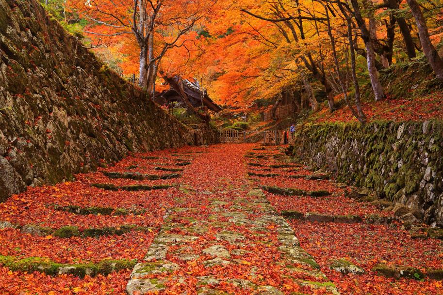 百済寺の紅葉