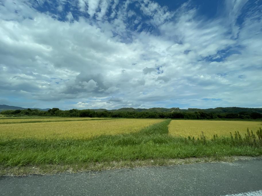 農地