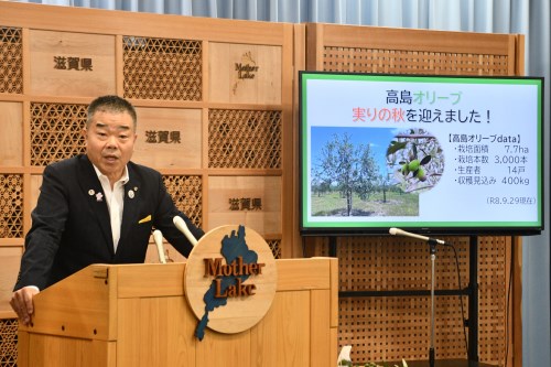 高島オリーブ