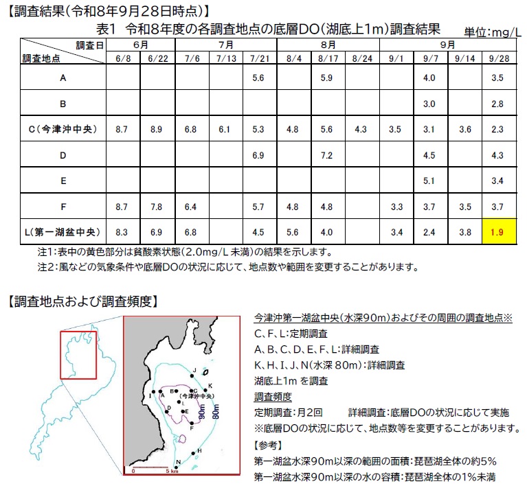 調査結果