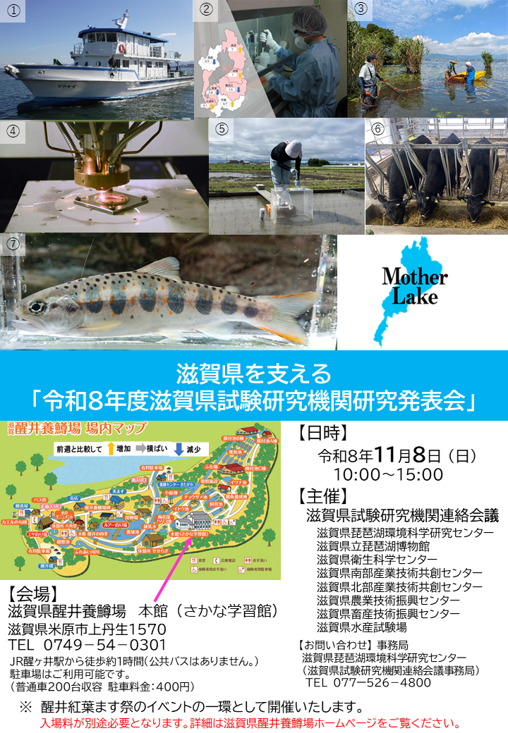 tirashi2-1