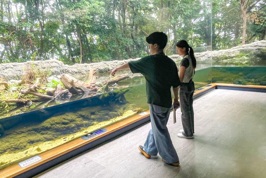 撮影の様子(水族展示室)
