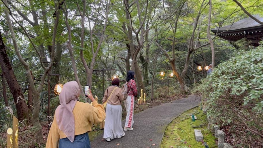 八幡山
