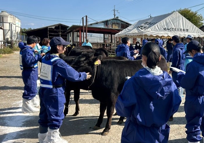 第1回滋賀県畜産共進会の様子