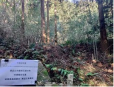 東近江市瓦屋寺境内(実施前)