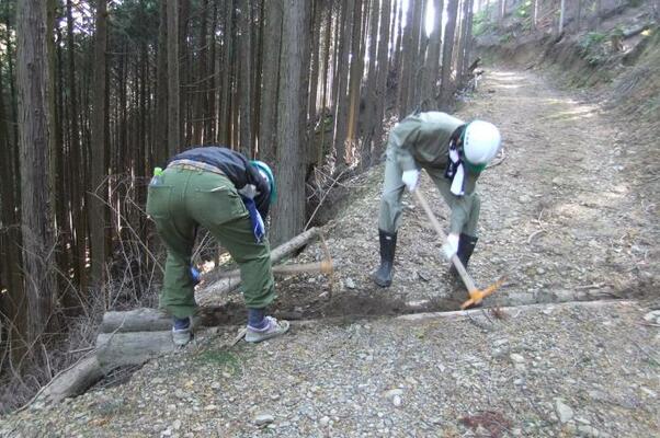 第10回森づくり活動2